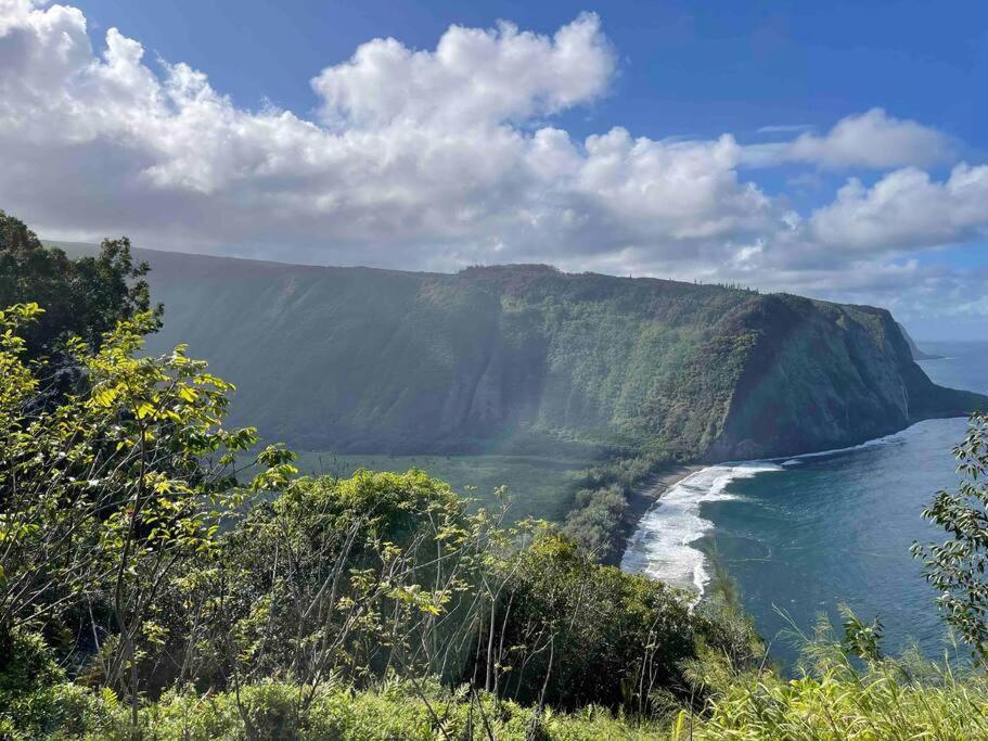 Haku Honu Hale With Pool 30M To Active Volcano! Villa Hilo Exterior photo